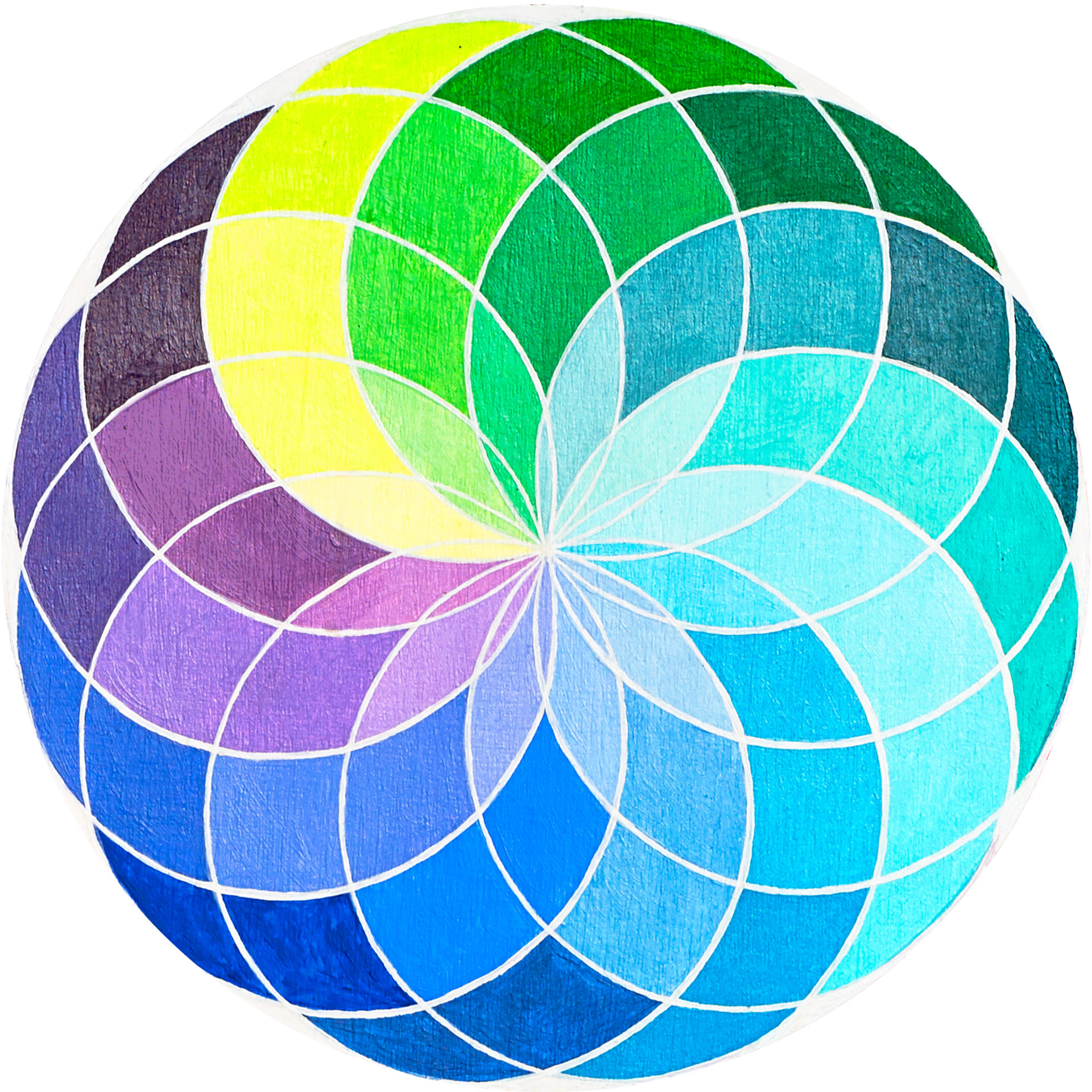 Torus Cross-Section